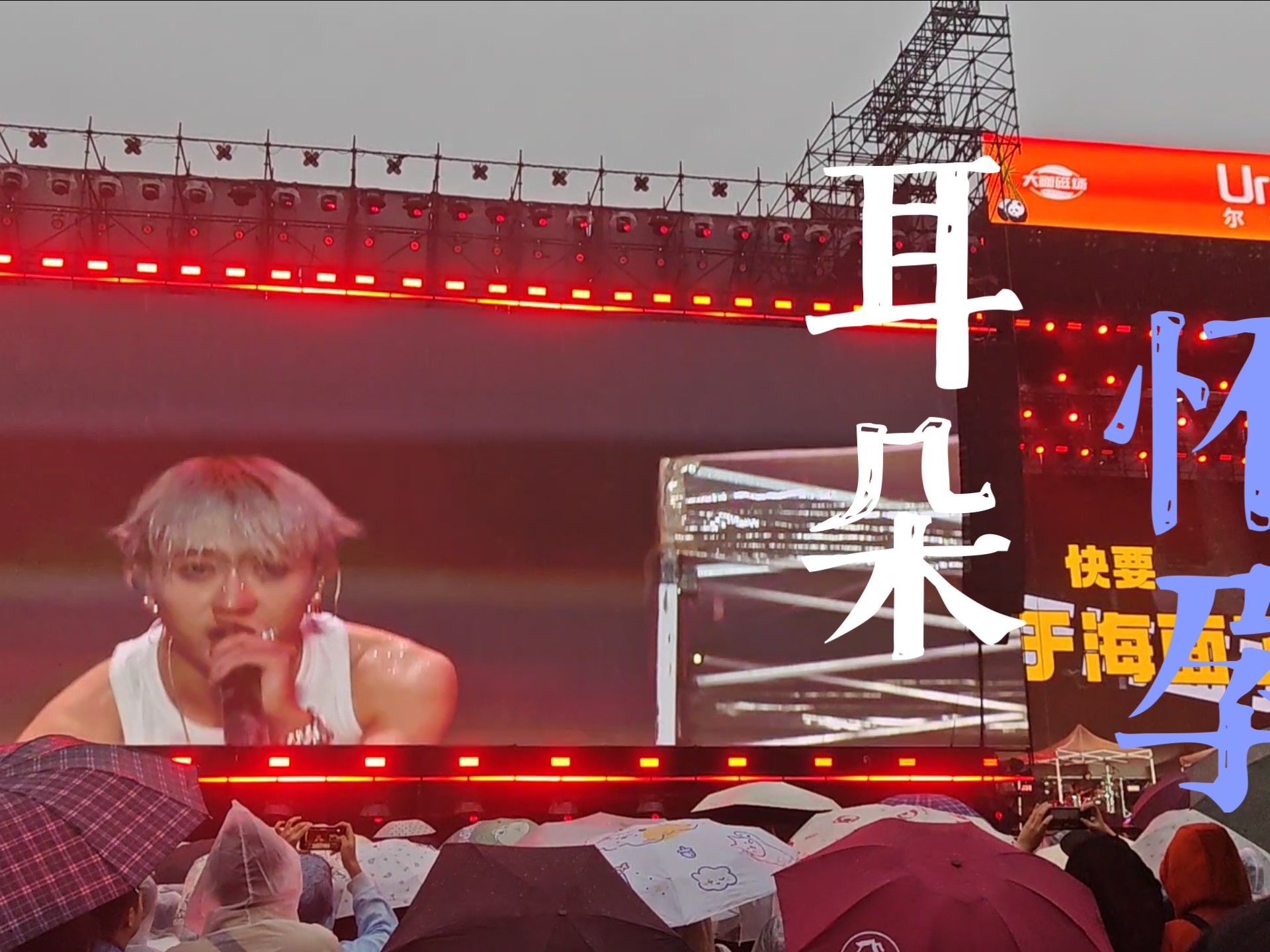 太阳新秀表现惊艳，全场观众掌声不断，一个图片显示电脑大家地址.