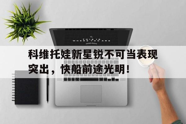 科维托娃新星锐不可当表现突出，快船前途光明！