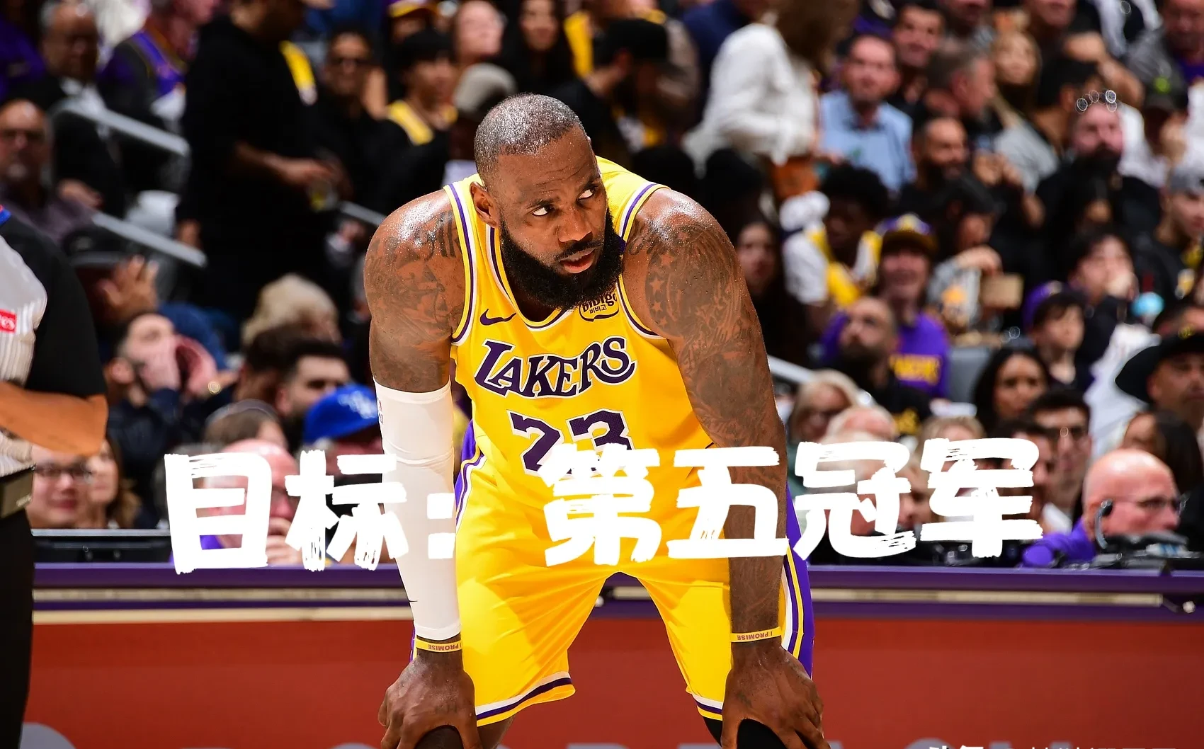 湖人不断突破！，詹姆斯连续五场比赛得分超过重要助攻赛场气氛高涨的简单介绍
