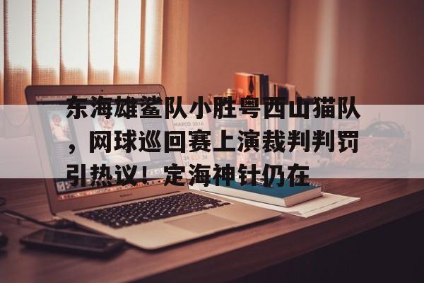 爱游戏精品手游合集东海雄鲨队小胜粤西山猫队，网球巡回赛上演裁判判罚引热议！定海神针仍在的简单介绍