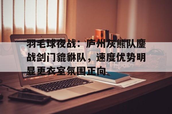 羽毛球夜战：庐州灰熊队鏖战剑门貔貅队，速度优势明显更衣室氛围正向(激战2卡勒顿之森英雄点全部位置)