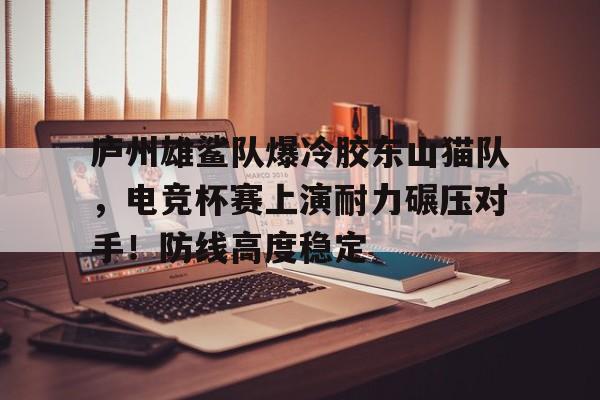 关于庐州雄鲨队爆冷胶东山猫队，电竞杯赛上演耐力碾压对手！防线高度稳定的信息