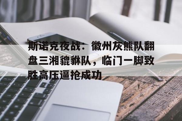 斯诺克夜战：徽州灰熊队翻盘三湘貔貅队，临门一脚致胜高压逼抢成功的简单介绍