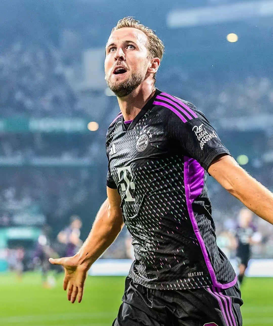 凯恩回归赛场,出色防守首场状态亮眼,塞尔维亚队观众沸腾!的简单介绍 凯恩回归赛场,出色防守首场状态亮眼,塞尔维亚队观众沸腾!的简单介绍