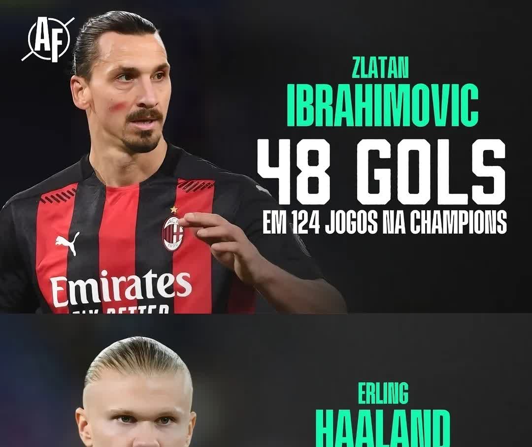 哈兰德2021 哈兰德2021