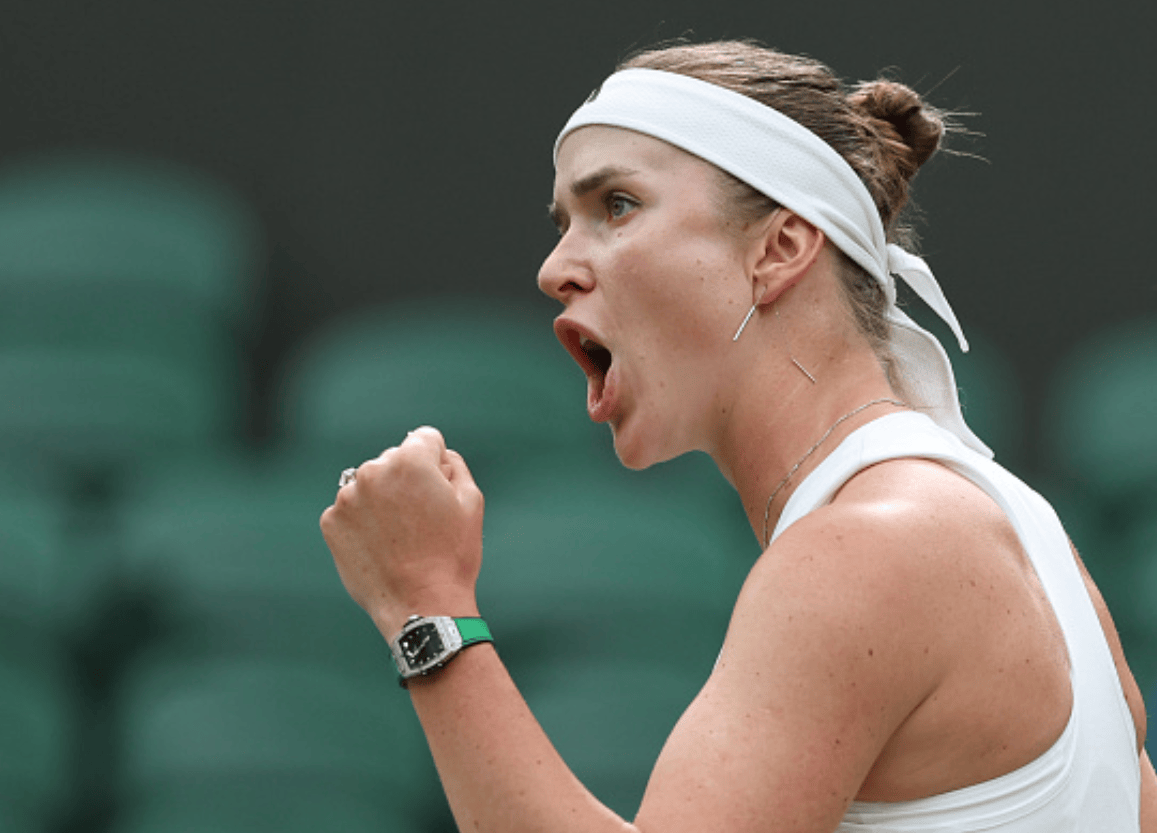 莎拉波娃爆冷击败德国队，突破纪录引爆全场！的简单介绍