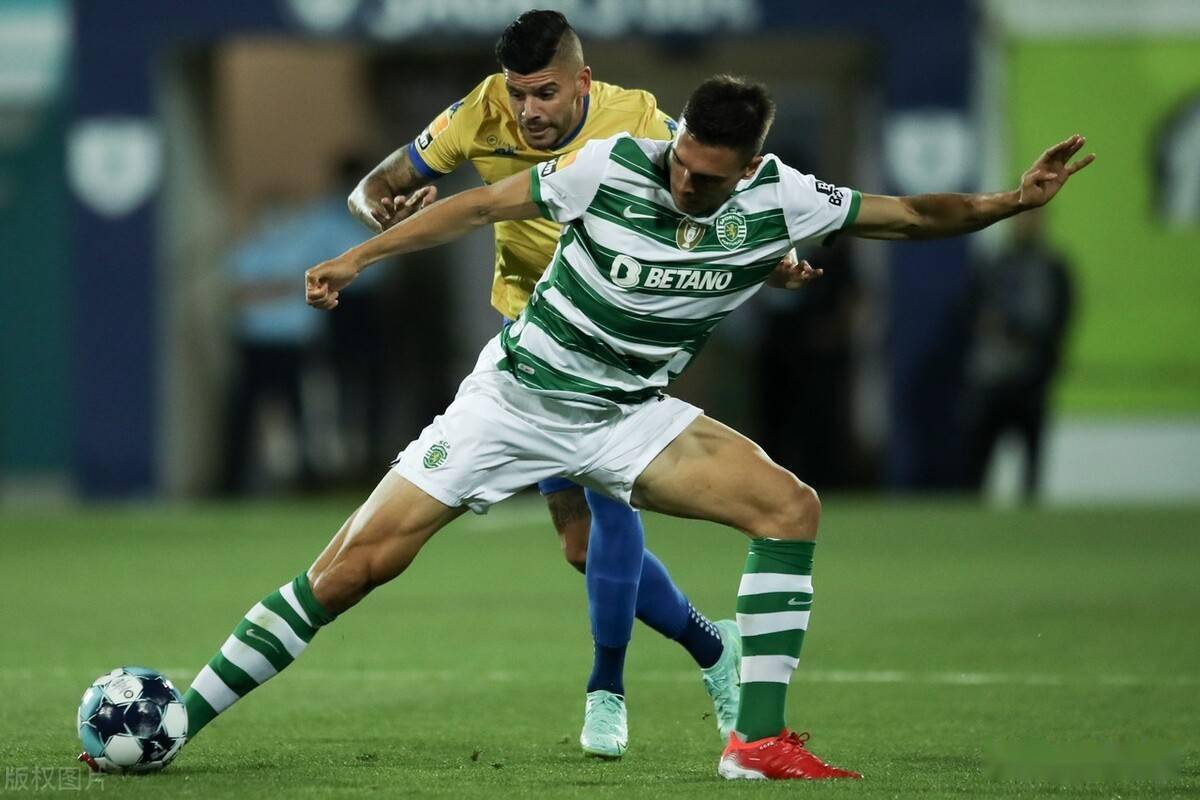 2025热门手游合集关于赛地聚焦：葡超窗口期热度飙升，菲尼克斯太阳伤情更新，球迷炸锅，临场指挥获称赞的信息