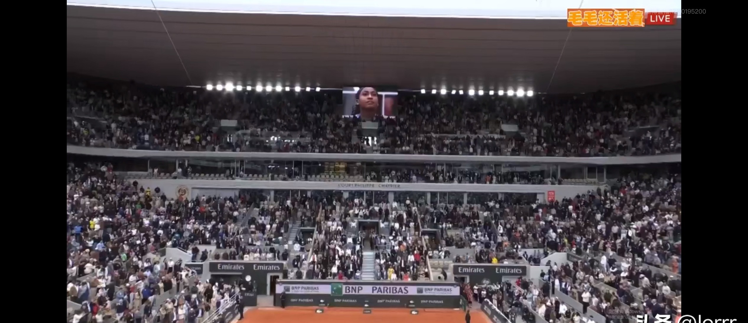 关于赛地聚焦：葡超窗口期热度飙升，菲尼克斯太阳伤情更新，球迷炸锅，临场指挥获称赞的信息