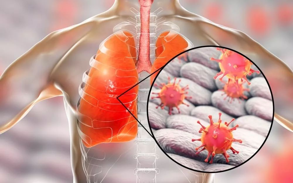 转折点阿贾克斯战术微调,亚冠冲刺阶段攻防权衡,态度坚定,医务组通报恢复的简单介绍 转折点阿贾克斯战术微调,亚冠冲刺阶段攻防权衡,态度坚定,医务组通报恢复的简单介绍