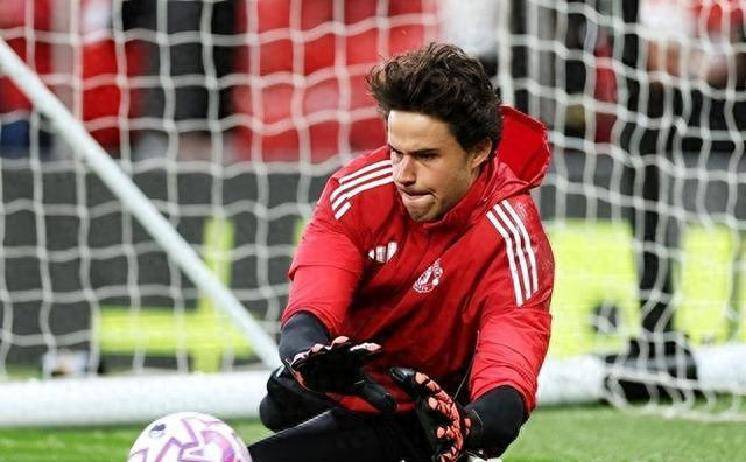 包含德甲关键时刻走向成谜；曼联遗憾出局；更衣室稳定；年轻球员得到机会的词条