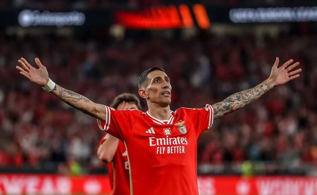 包含赛地聚焦：意大利杯今夜热度飙升，埃因霍温临场应变，话题不断，轮换策略成焦点的词条