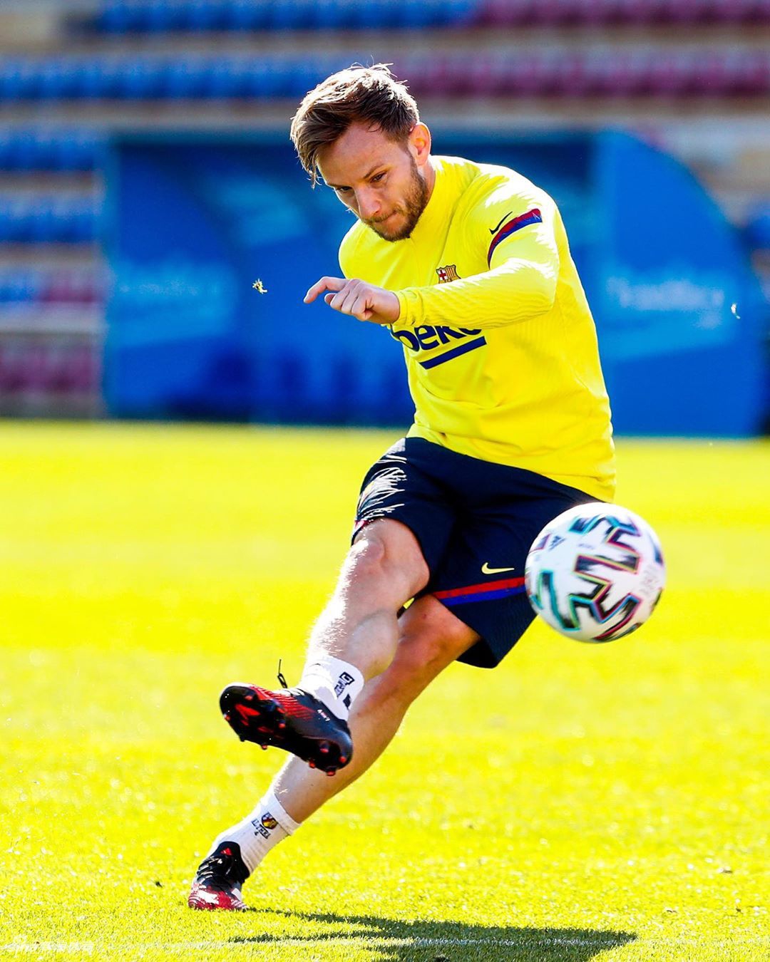 包含今夜多伦多猛龙备战国王杯;迎来里程碑细节曝光;管理层满意;数据趋势出现新变化的词条 包含今夜多伦多猛龙备战国王杯;迎来里程碑细节曝光;管理层满意;数据趋势出现新变化的词条