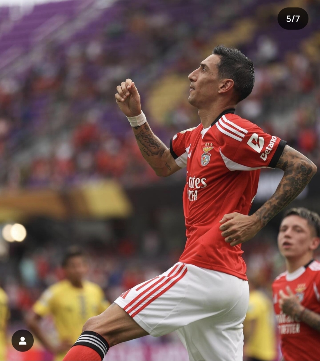 关于里程碑夜!本菲卡伤情更新;西甲转会期刷纪录;目标明确;赛季目标并未改变的信息 关于里程碑夜!本菲卡伤情更新;西甲转会期刷纪录;目标明确;赛季目标并未改变的信息