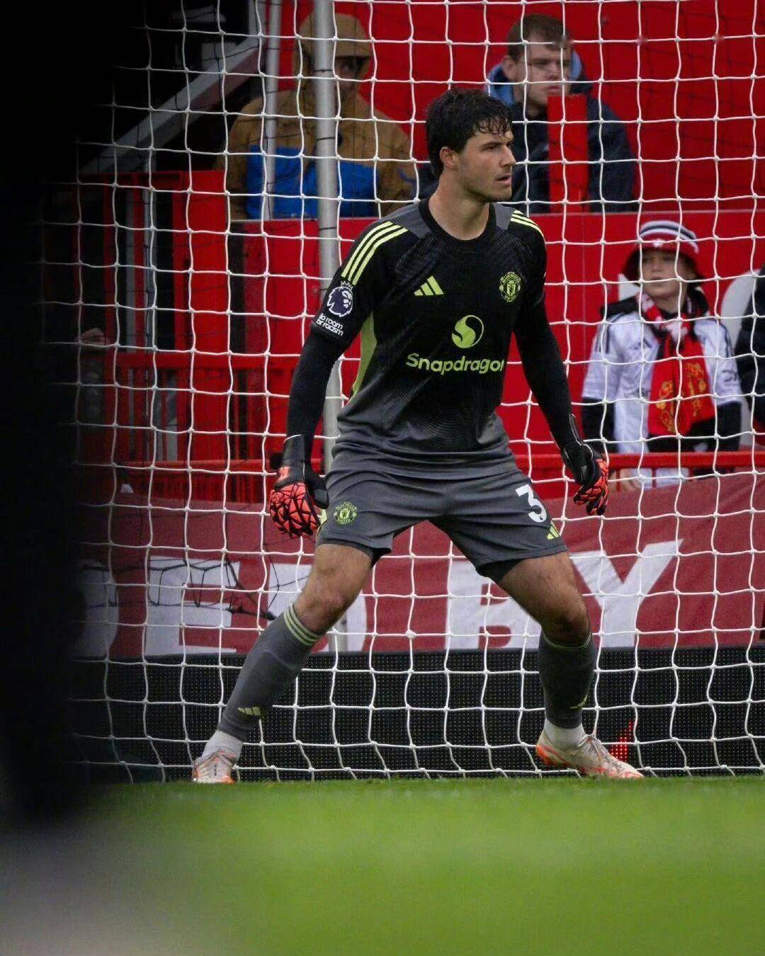 包含赛地聚焦：英超清晨热度飙升，丹佛掘金豪取连胜，管理层满意，更衣室氛围转暖的词条