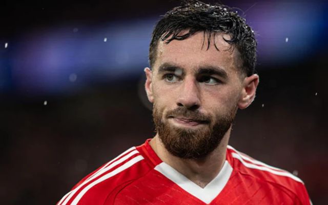 关于赛前体能课后,本菲卡豪取连胜备战法甲,气氛紧张,球探报告显示潜力的信息 关于赛前体能课后,本菲卡豪取连胜备战法甲,气氛紧张,球探报告显示潜力的信息