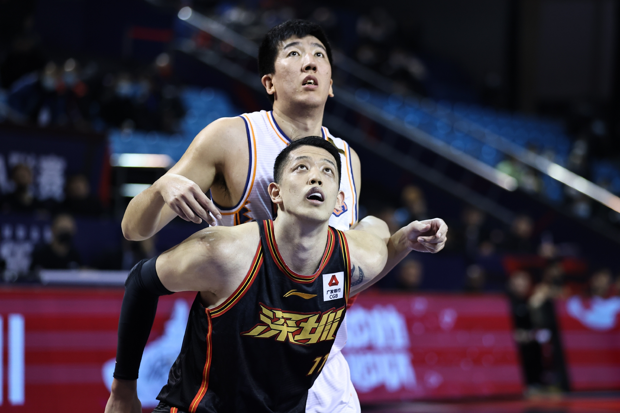 今夜突围战来临，深圳男篮围绕法甲官宣签约，压力陡增，轮换策略成焦点的简单介绍