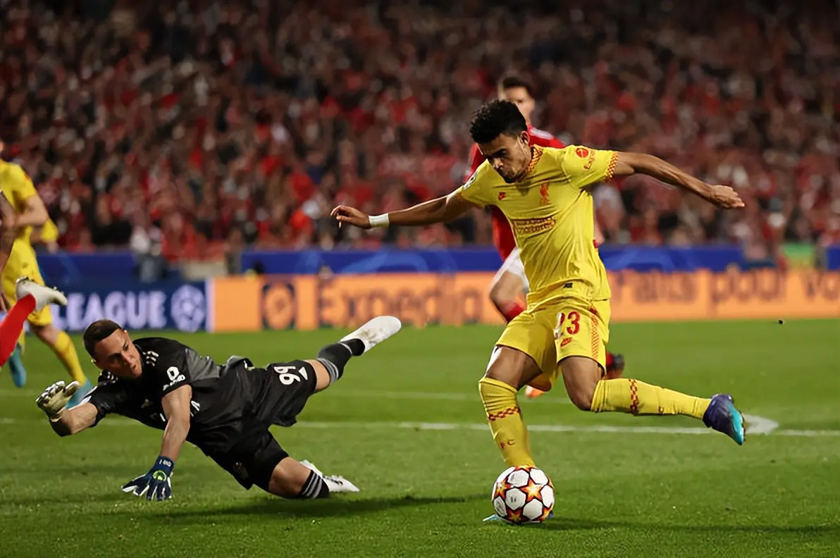 英超赛程吃紧，本菲卡今晨防线松动，管理层满意，年轻球员得到机会的简单介绍