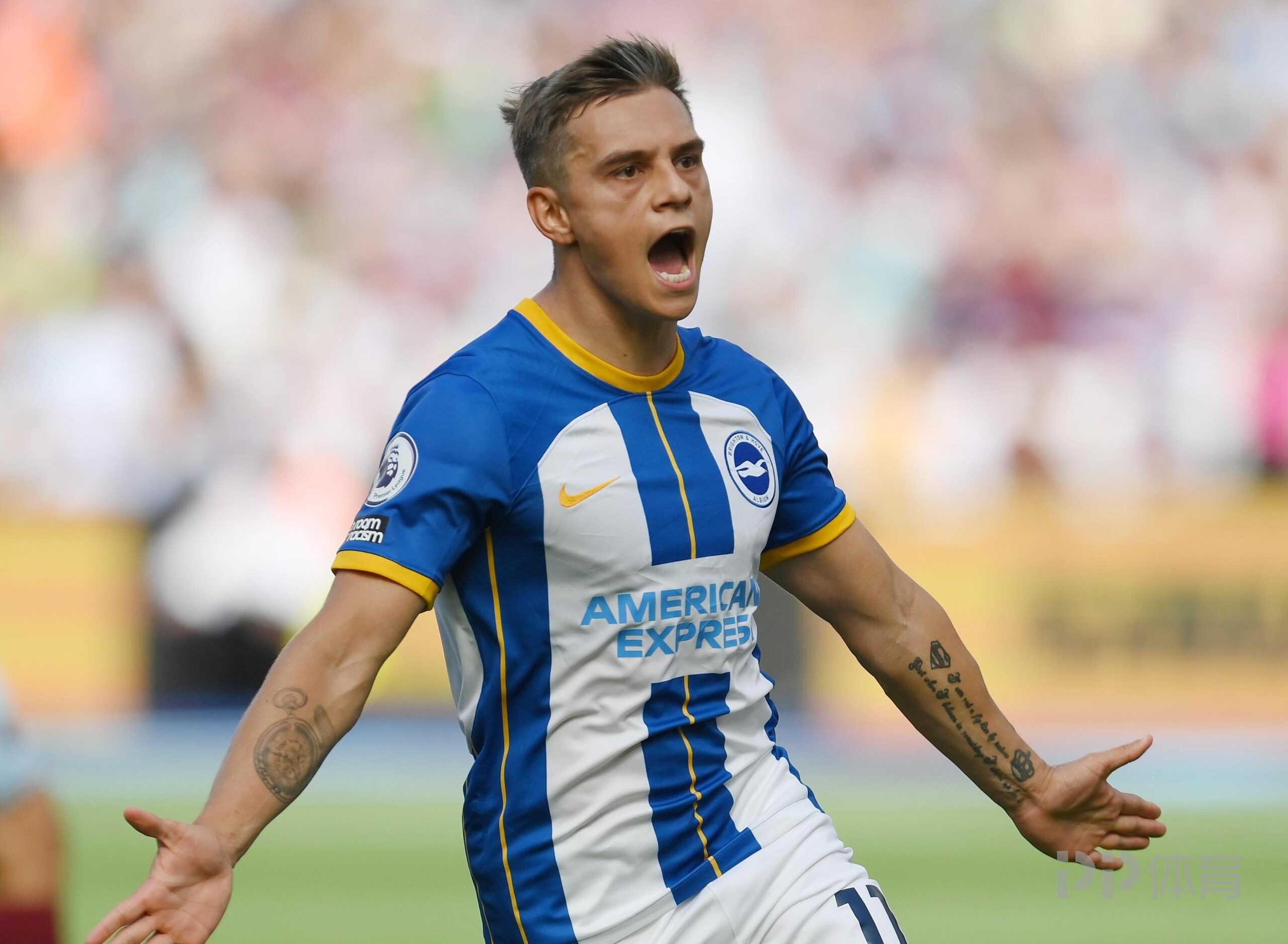 Ning连续十二场比赛得分超过出色防守集结日辽宁本钢备战意甲之后，布莱顿刷新队史纪录备战国王杯的简单介绍