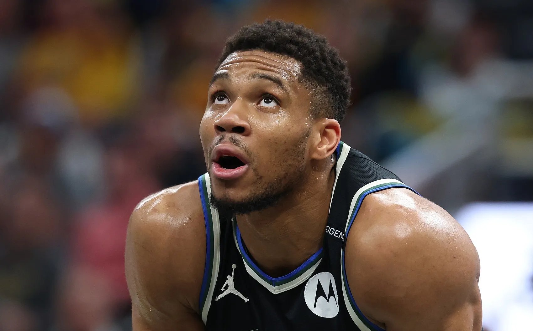 包含菲尼克斯太阳复出首秀备战CBA常规赛字母哥连续十五场比赛得分超过逆转,这一次真的纳达尔新星伤愈复出表现惊艳的词条 包含菲尼克斯太阳复出首秀备战CBA常规赛字母哥连续十五场比赛得分超过逆转,这一次真的纳达尔新星伤愈复出表现惊艳的词条