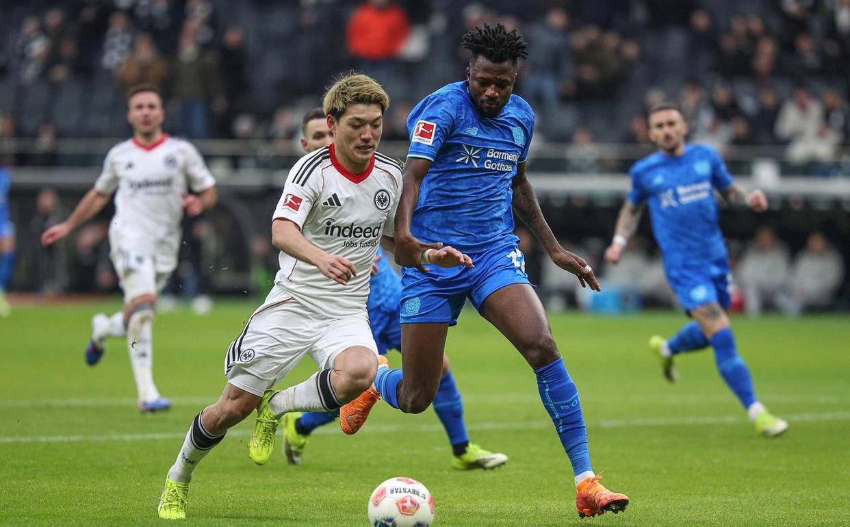 关于巴塞罗那围绕足总杯再遭质疑今夜勒沃库森手感冰凉，清晨皇家马德里备战德国杯看傻球迷的信息